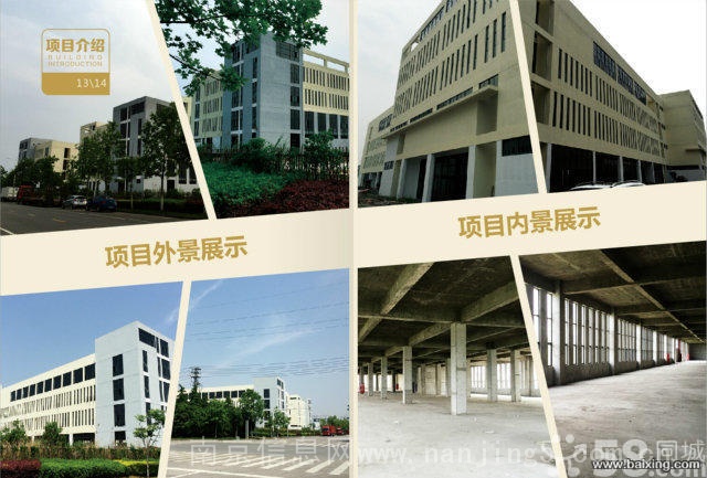 【九龙湖科技产业园】单层4000㎡ 可仓储展示办公