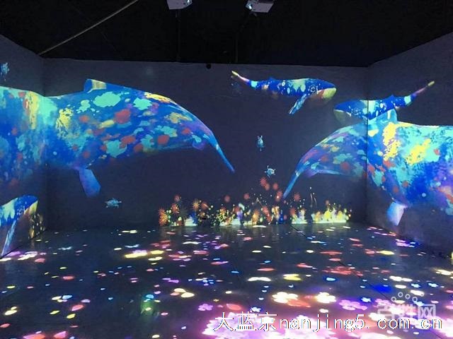 光影人影互动出租互动花海租赁厂家直销现货供应出售