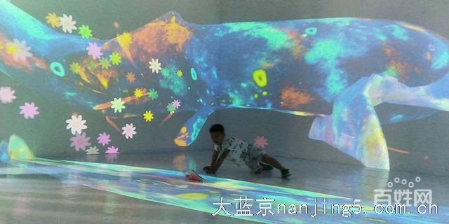 光影人影互动出租互动花海租赁厂家直销现货供应出售