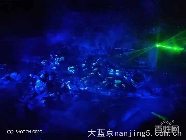 光影人影互动出租互动花海租赁厂家直销现货供应出售