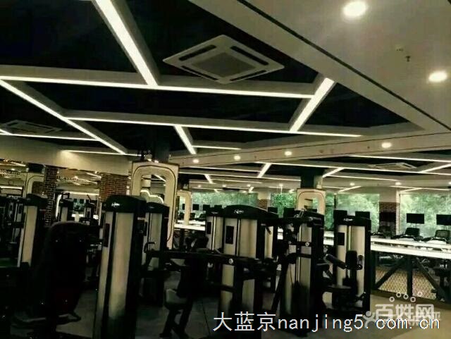 金吉鸟京新店