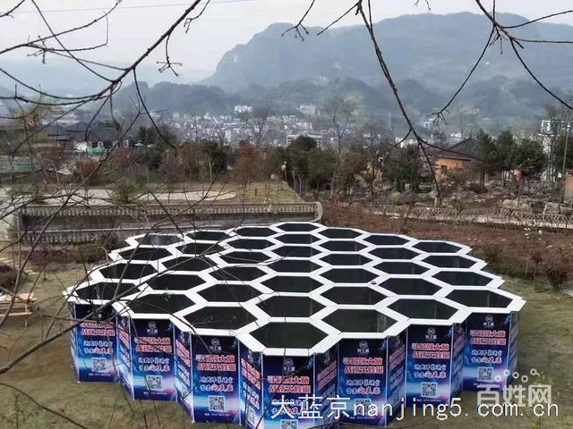 镜子迷宫出租蜂巢迷宫租赁绿植迷宫出租出售多款