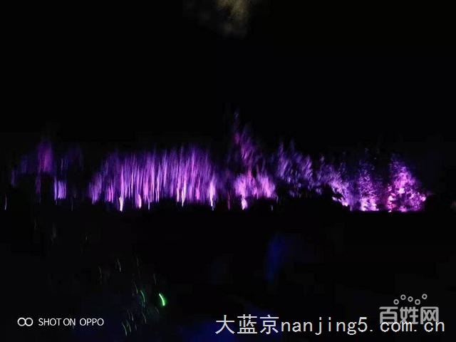 光影人影互动出租互动花海租赁厂家直销现货供应出售