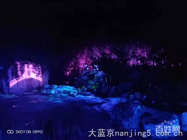 光影人影互动出租互动花海租赁厂家直销现货供应出售