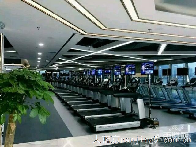 金吉鸟京新店