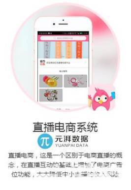 新闻:江苏直播软件定制开发公司。专业团队,找元湃科