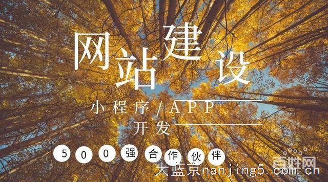 软件开发,小程序开发,APP开发,网站建设(推荐)
