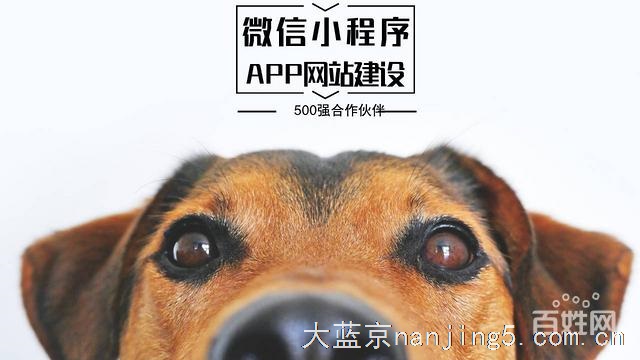 软件开发,小程序开发,APP开发,网站建设(推荐)