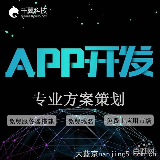 APP定制开发