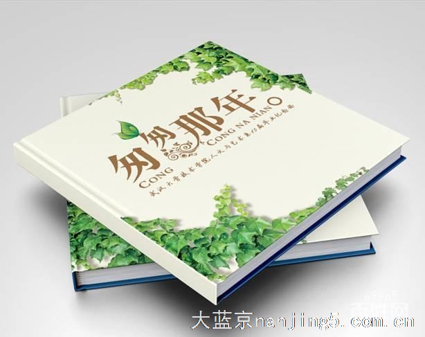 南京宣传册印刷 南京彩色宣传册印刷 南京定制宣传册