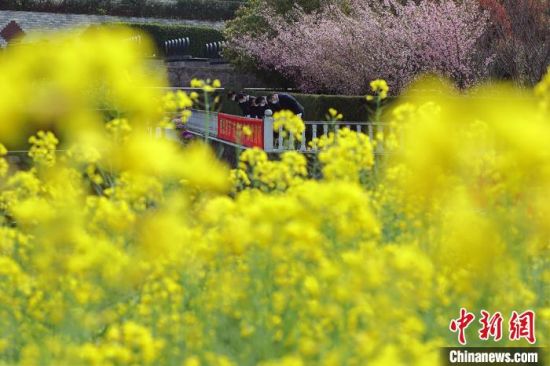 所有参加仪式的工作人员三鞠躬,礼敬先人。 泱波 摄 所有参加仪式的工作人员三鞠躬,礼敬先人。 泱波 摄