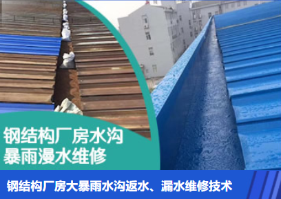 南京雨中行修缮工程有限公司