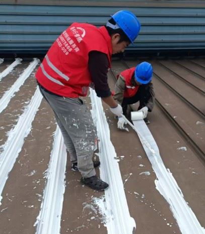 安徽雨中行修缮技术有限公司